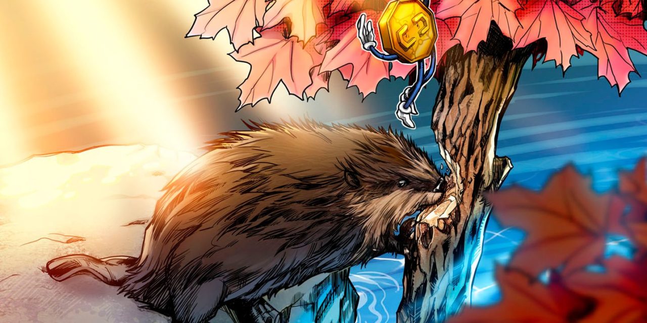 Canada’s regulatory clarity is bringing institutions to crypto – WonderFi CEO