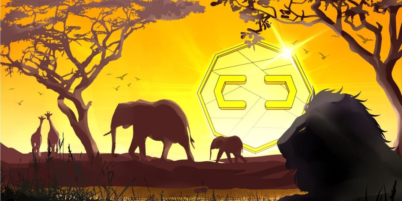 Commodity tokenization is the economic aid Africa needs