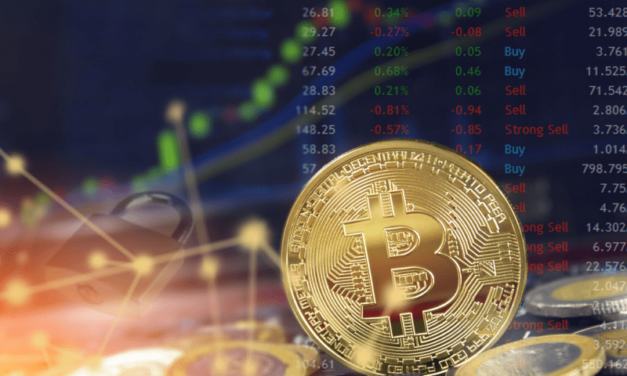 Ako zarobiť počas klesajúceho trhu na bitcoine, ethereu, Everlodge?