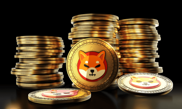 Cena Shiba Inu počas niekoľkých týždňov viacnásobne vystrelila, stane sa nová kryptomena Shibie trendovým meme coinom?