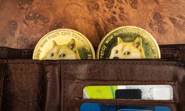 Dogecoin sa prepadol o 90 %. Investori teraz sledujú rast VC Spectra