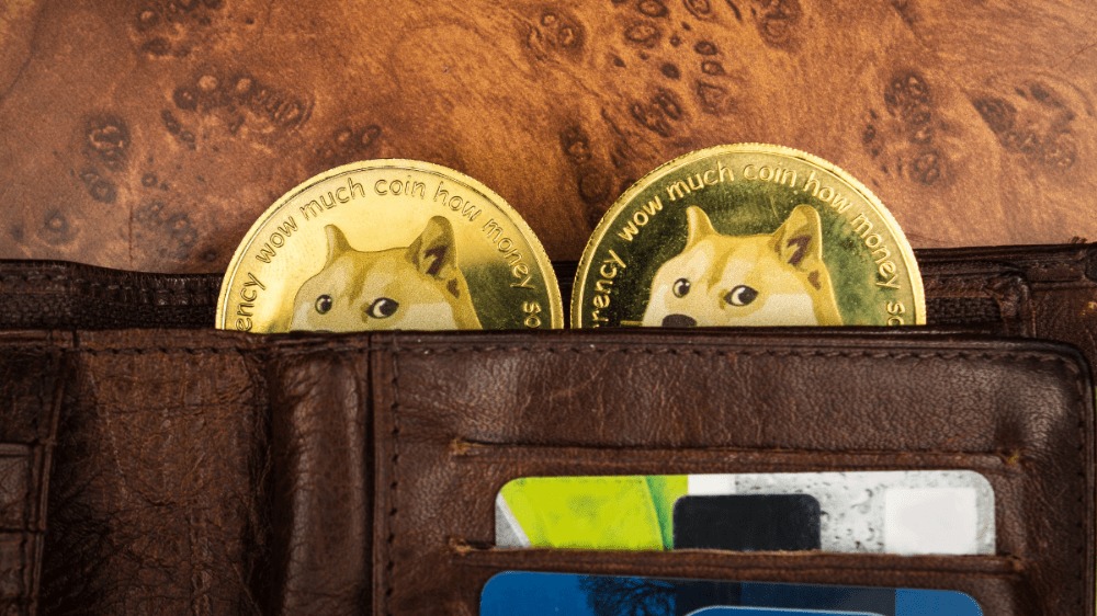Dogecoin sa prepadol o 90 %. Investori teraz sledujú rast VC Spectra