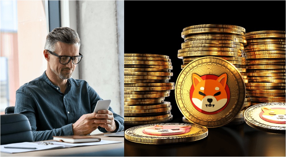 Toto by sa stalo, keby ste od začiatku roka investovali 100 dolárov týždenne do kryptomeny Shiba Inu
