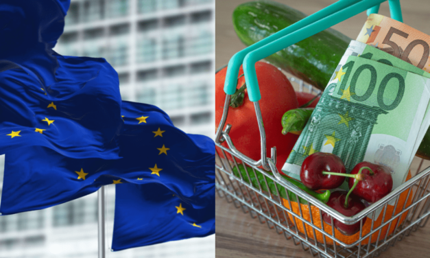 Európska komisia schválila Slovákom pomoc s cenami potravín