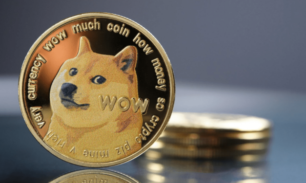 Čo bude ďalej s XRP a Dogecoinom? Investori sa začínajú zaujímať o túto novú kryptomenu