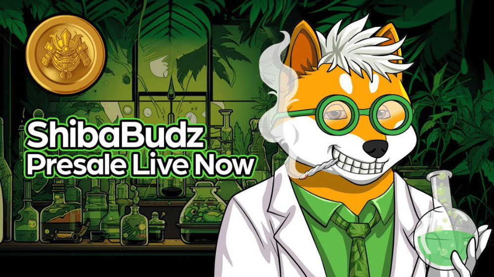 Trápi sa Dogecoin nedostatkom užitočnosti? Tu je odpoveď