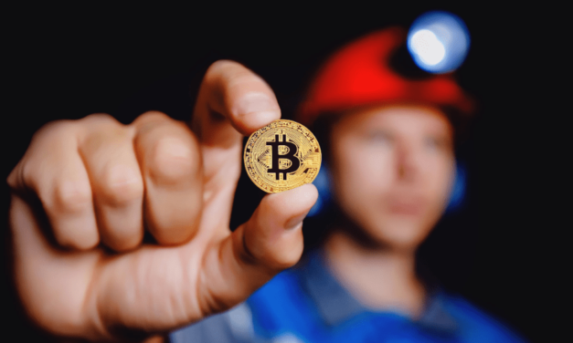 Táto kryptomena práve dosiahla 157 000 dolárov v predpredaji – oplatí sa do nej investovať?