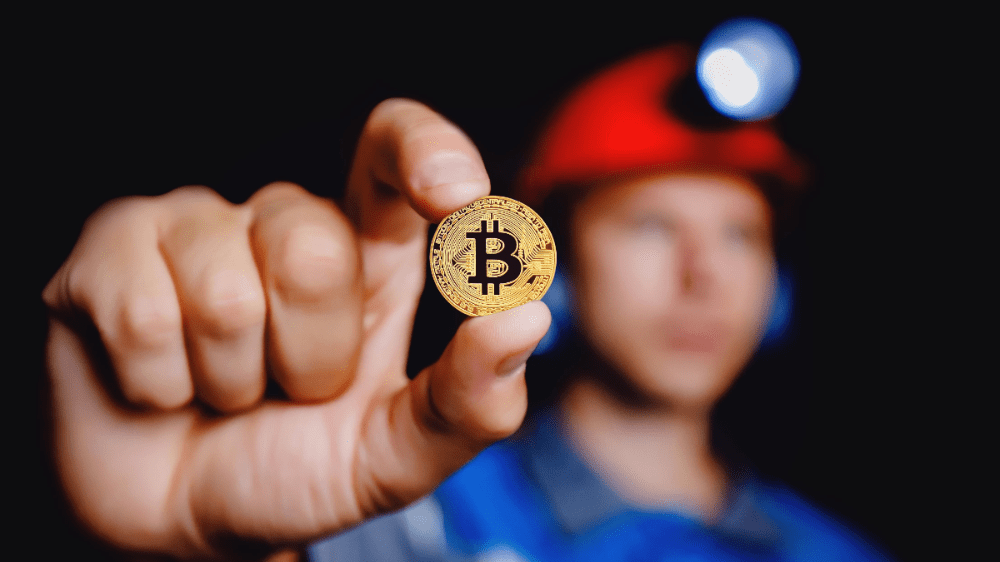 Táto kryptomena práve dosiahla 157 000 dolárov v predpredaji – oplatí sa do nej investovať?