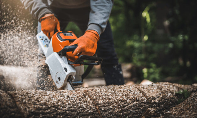 Úlovok za milión: Príslušníci Finančnej správy si na konto pripísali ďalší úspech