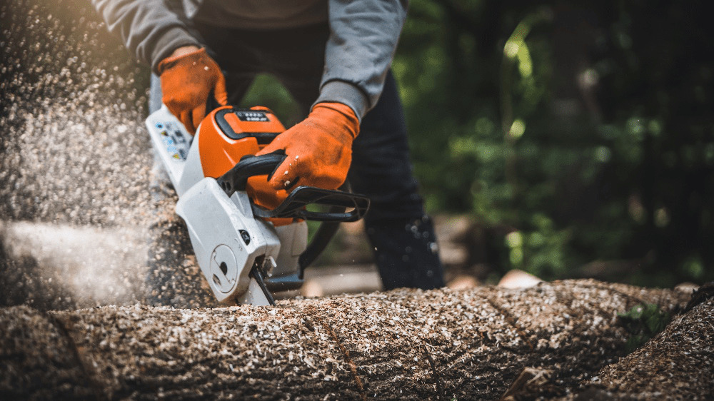 Úlovok za milión: Príslušníci Finančnej správy si na konto pripísali ďalší úspech