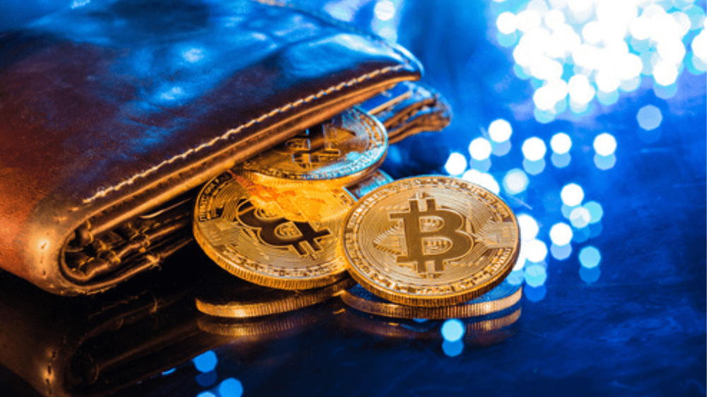 Známi bitcoinoví investori sa zamerali na ďalšiu veľkú investičnú príležitosť