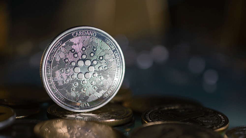 Cardano a Arbitrum čelia poklesu, VC Spectra ale stále priťahuje nových investorov