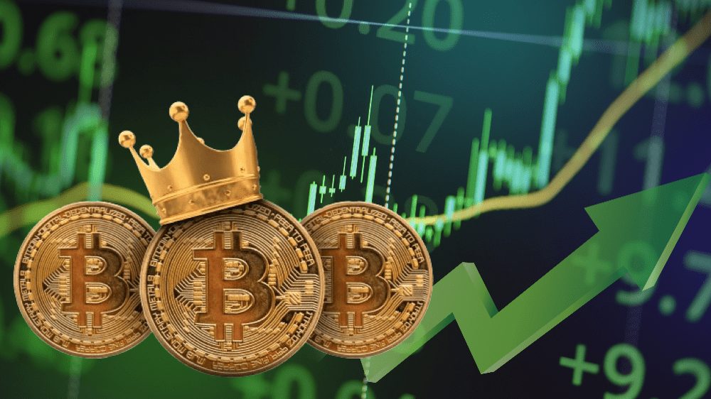 Skutočný rast kryptomien ešte nezačal. Čo očakávať ďalší rok?