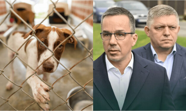 Neziskovky sú v existenčnom ohrození. Pochová nová Ficova vláda charity?