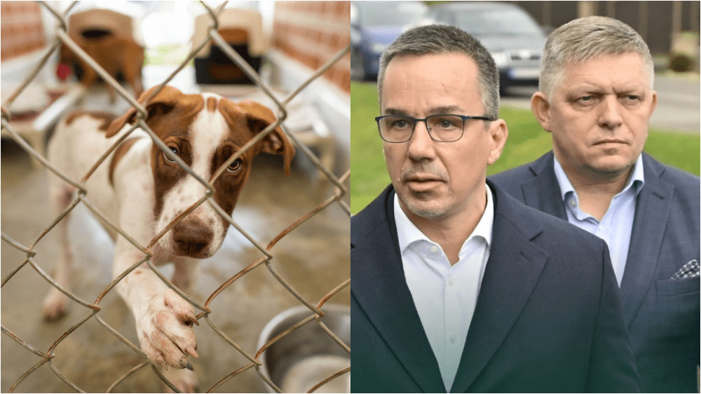 Neziskovky sú v existenčnom ohrození. Pochová nová Ficova vláda charity?