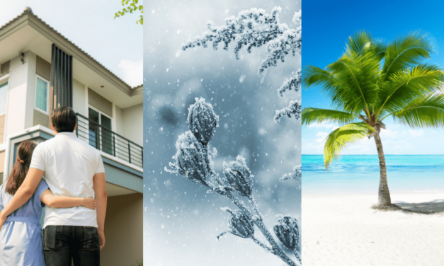 Slováci sa obracajú chrbtom k tamojším nehnuteľnostiam. Uprednostňujú ich inde