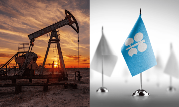 Ako sa budú vyvíjať ceny benzínu a nafty? O pár dni zasadne OPEC
