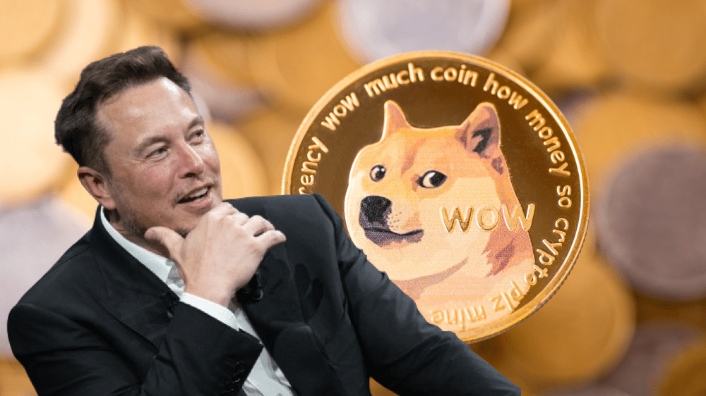 Elon Musk a Dogecoin: Skryté kódy odhalili, že ich prepojenie môže byť oveľa hlbšie
