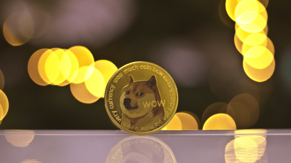 Meme mince na vzostupe: Rastú Bonk, Shiba Inu aj Meme Kombat