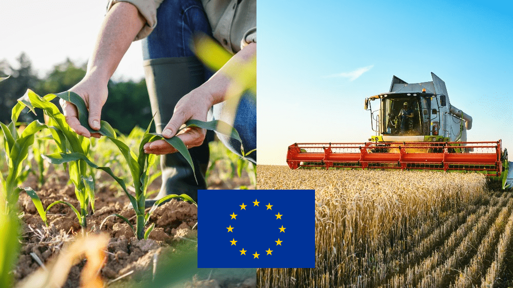 Ceny poľnohospodárskych produktov prudko klesajú