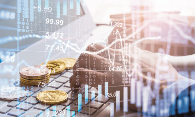 Toto sú kryptomeny, do ktorých sa v roku 2024 oplatí investovať