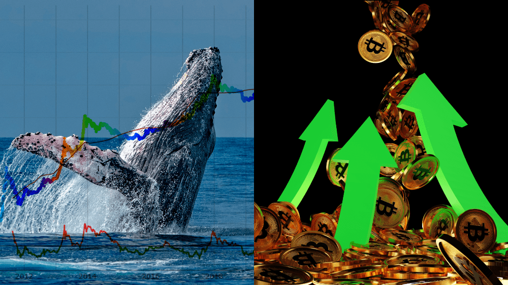 PlanB predpovedá šialenú cenu Bitcoinu už v tomto roku