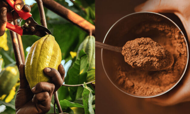 Cena obľúbenej pochúťky Slovákov môže drasticky stúpnuť. Toto je dôvod