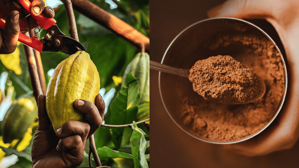 Cena obľúbenej pochúťky Slovákov môže drasticky stúpnuť. Toto je dôvod