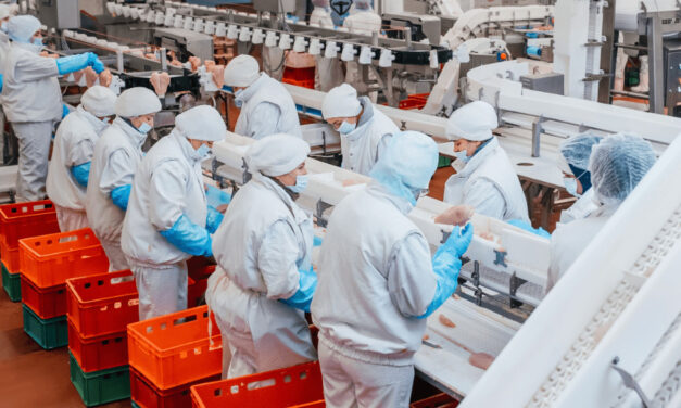 Slovenské hydinárne sa topia v dlhoch a bankrotujú. Na krku majú aj podozrenie z podvodov