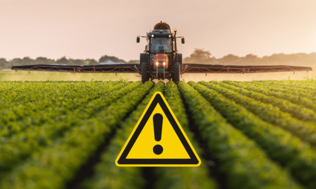 Firma z východu Slovenska obrala štát o necelých 20 miliónov. Súd začal predávať jej skromný majetok