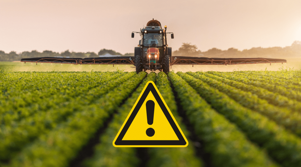 Firma z východu Slovenska obrala štát o necelých 20 miliónov. Súd začal predávať jej skromný majetok