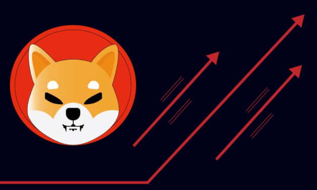 Investovať radšej 1 000 eur do Shiba Inu alebo Option2Trade? Tu je pár informácií pre investorov