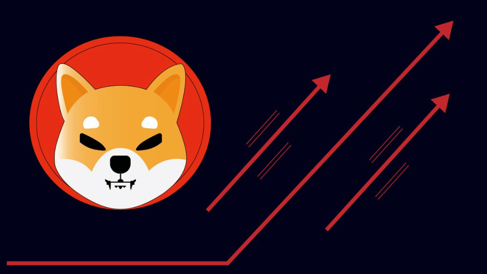 Investovať radšej 1 000 eur do Shiba Inu alebo Option2Trade? Tu je pár informácií pre investorov