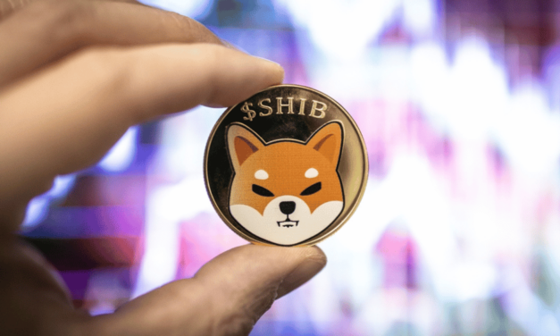 Shiba Inu stúpa o 300 %, Option2Trade dosahuje revolučné výšky