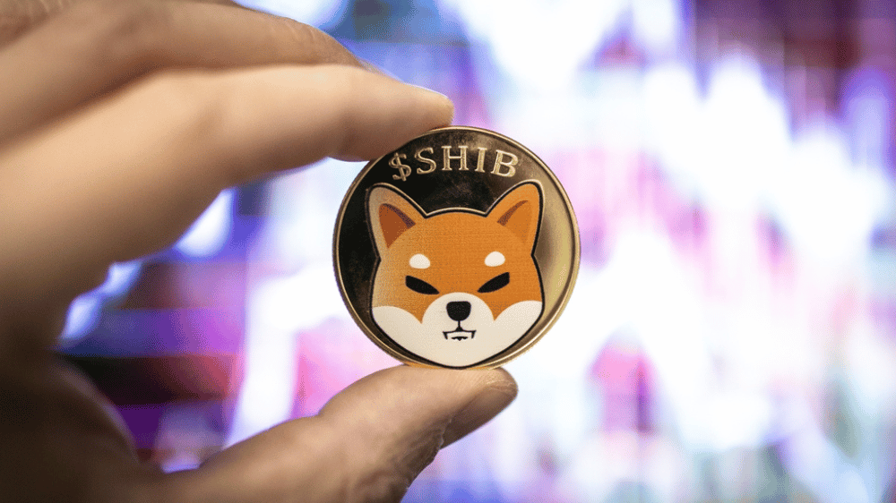 Shiba Inu stúpa o 300 %, Option2Trade dosahuje revolučné výšky