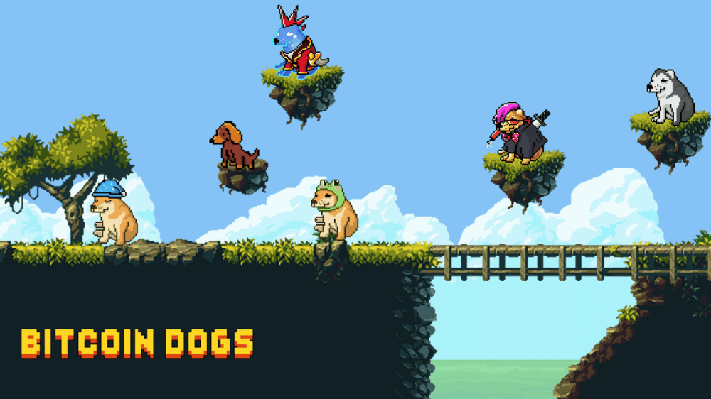 Slovákov zaujala nová kryptomena. Ich priazeň si získala hneď viacerými vecami