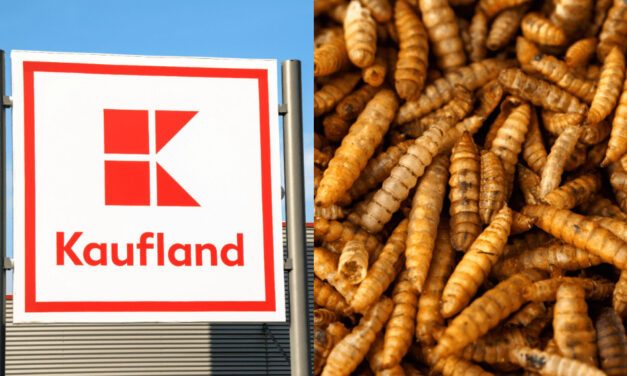 Larvy v Kauflande: V supermarkete bežne požierajú zvyšky