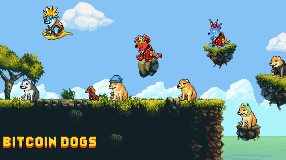 Pád Bitcoin Cats: Znamenie meniacich sa kryptomenových trendov?