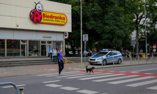 Na Slovensko sa rúti poľský velikán: Vieme, kedy a kde Biedronka otvorí svoje predajne