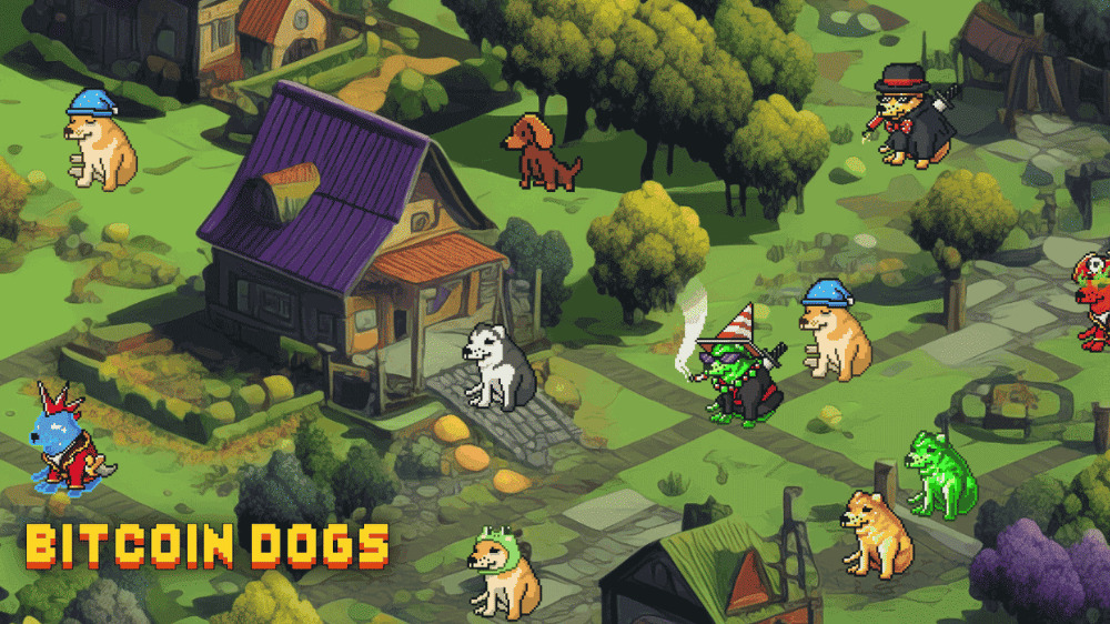 Bitcoin Dogs už získali 7 miliónov dolárov. Začína sa posledné odpočítavanie