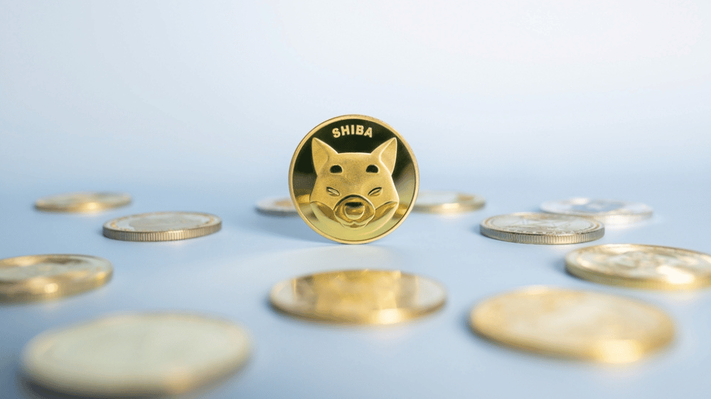 Hodnota Shiba Inu vystrelila: Toto je 5 najlepších meme coinov na investíciu v súčasnosti