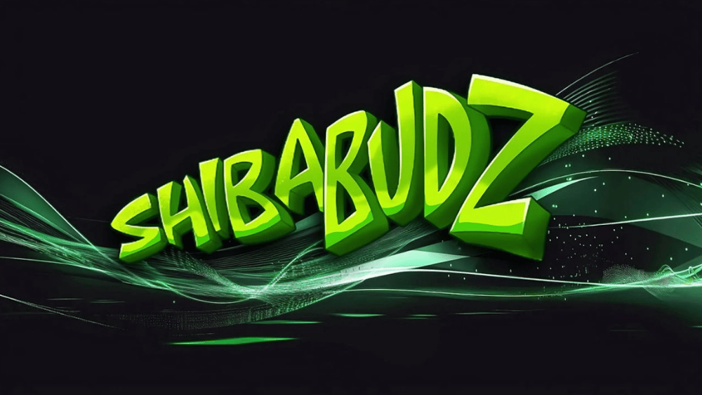 Investori do Solany zarobili 300 % pri investovaní do jej konkurencie