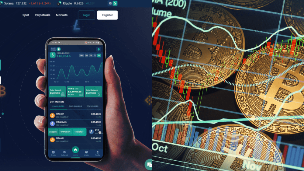 Millionero recenzia, skúsenosti a poplatky: Podrobný návod