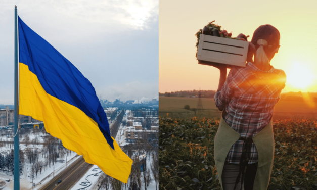 Regulácia ukrajinských potravín je nedostatočná. Poľnohospodári už prišli o miliardy eur