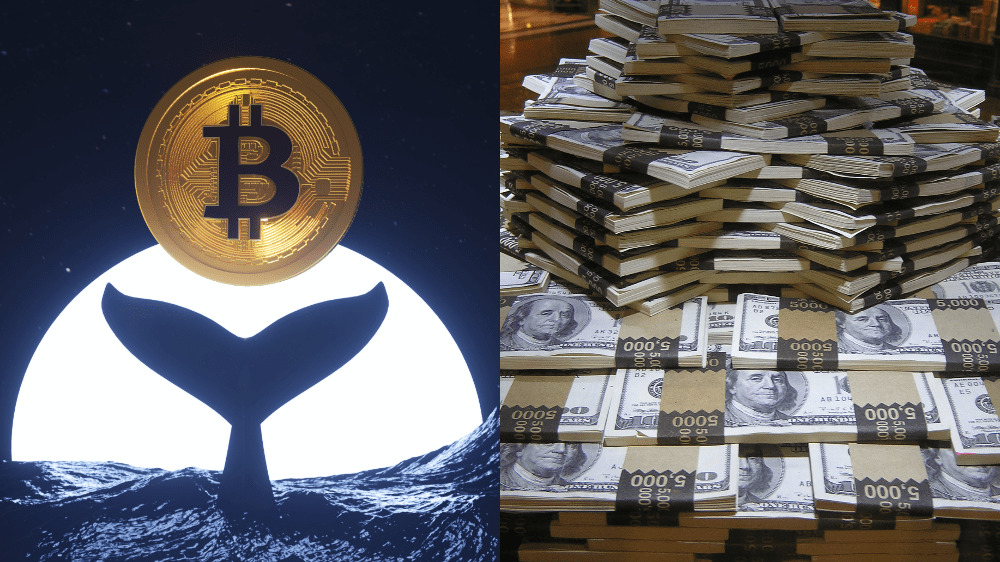 Tento človek vlastní 50 000 Bitcoinov v hodnote vyše 3,3 miliardy dolárov