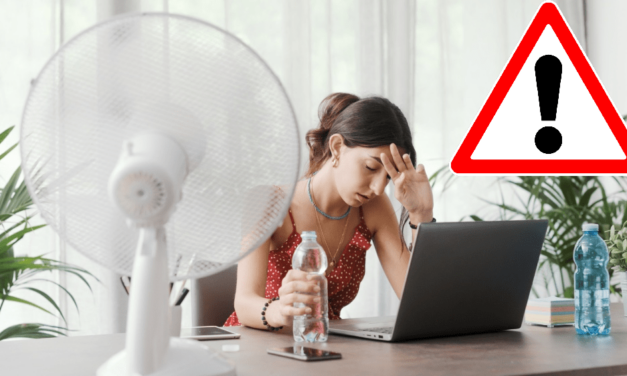 Zamestnávateľ má počas horúčav niekoľko povinností. Zamestnanci o nich často netušia