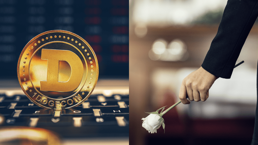 Uhynula sučka, ktorá sa stala tvárou slávnej kryptomeny