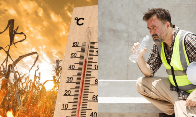 Horúčavy môžu spôsobiť pracovné úrazy. Pozrite sa, aké má zamestnávateľ povinnosti