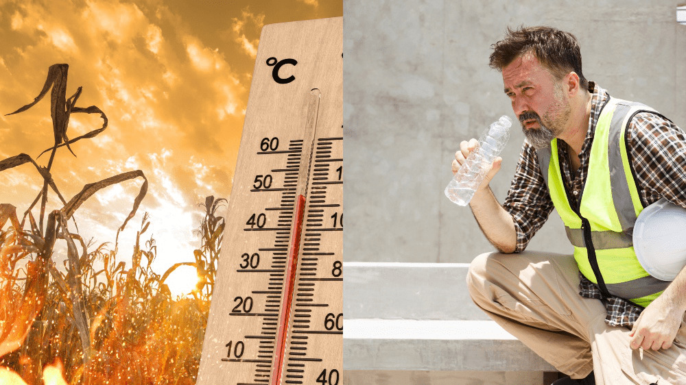 Horúčavy môžu spôsobiť pracovné úrazy. Pozrite sa, aké má zamestnávateľ povinnosti
