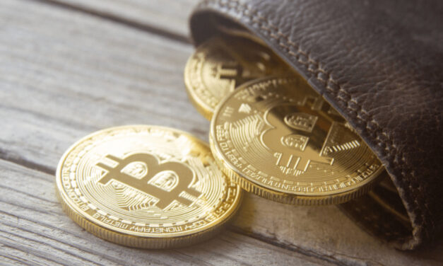 Podľa slovenského analytika bude Bitcoin čoraz viac plniť monetárnu funkciu